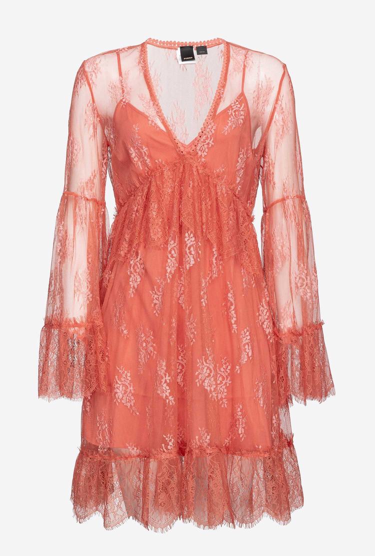 Women's Pinko Lace Dress Rose | Australia-92375189