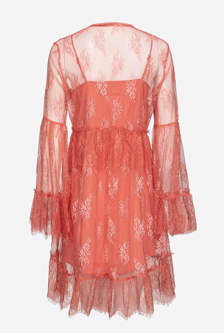 Women's Pinko Lace Dress Rose | Australia-92375189